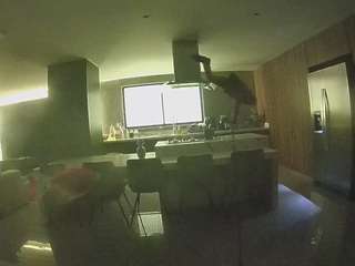 voyeurcam casa salsa fishtank